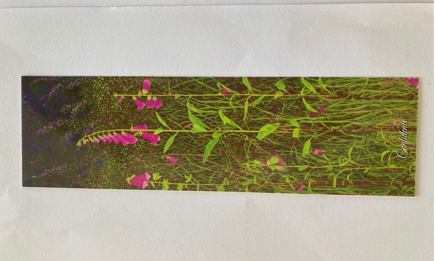 "Confidence" Bookmark