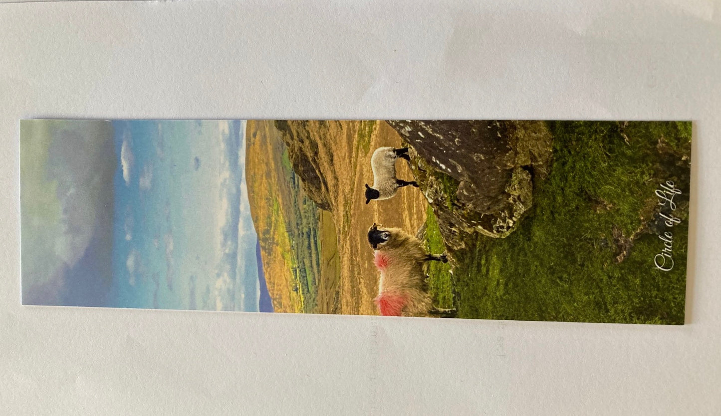 "Circle of Life" Bookmark