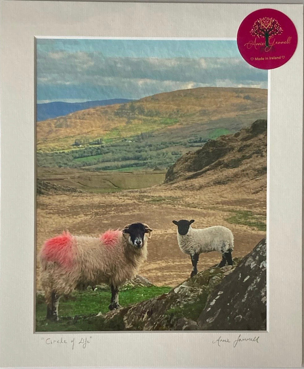 "Circle of Life" 12" x 10" - Annie Gammell Art