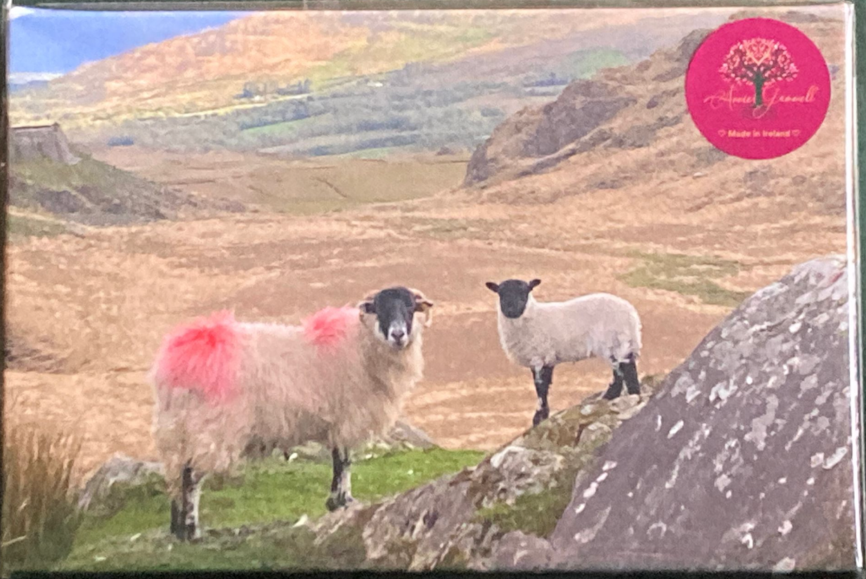 "Circle of Life" Canvas Print 12” x 8” (Unframed)