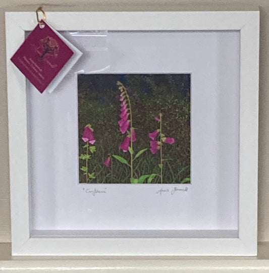 "Confidence" 10" x 10" Framed Print